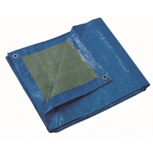 BACHE DE PROTECTION LEGERE PVC 2X3M